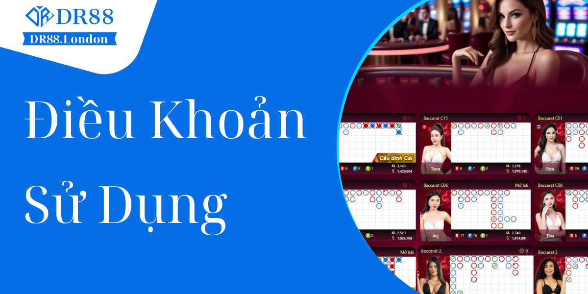 Điều khoản sử dụng DR88